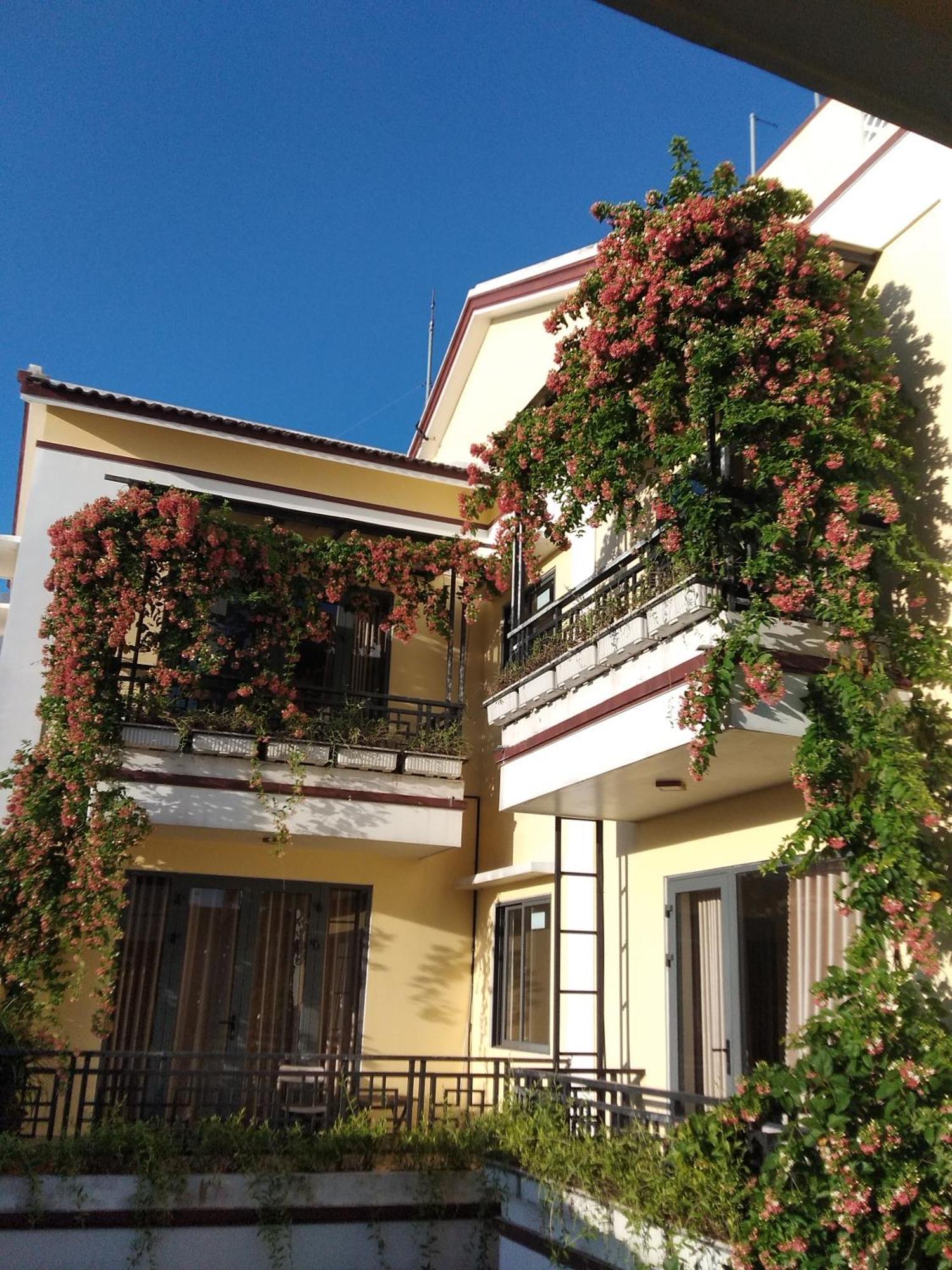Hoi An Town Of Viet House Homestay Eksteriør bilde